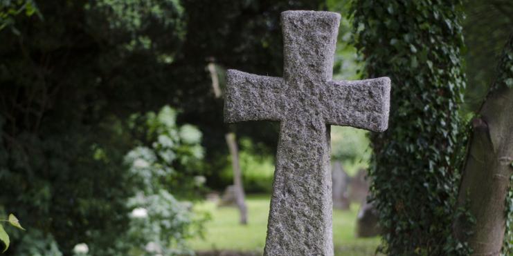Steinernes Kreuz umgeben von grüner Vegetation auf einem Friedhof.